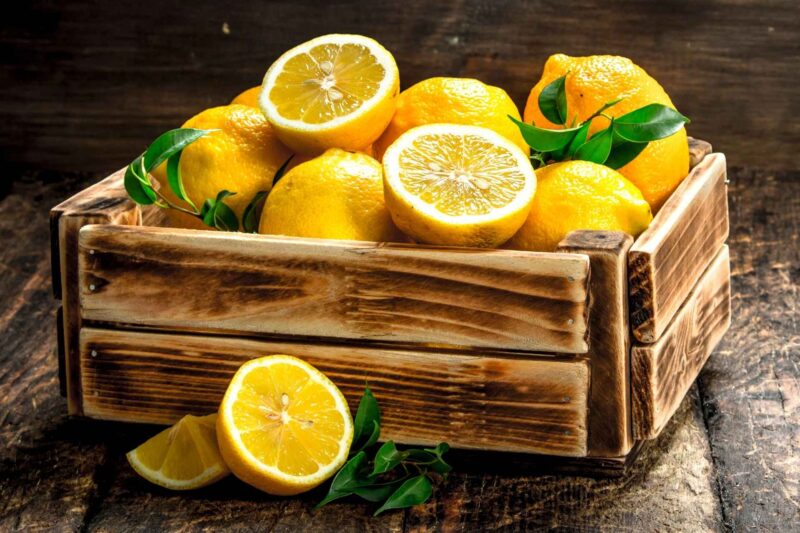 Plante sementes de limão e tenha um vaso perfumado. Foto: Getty Images